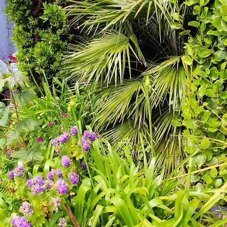 La Maison Du Port, Vue Mer, Jardin Et Parking Roscoff